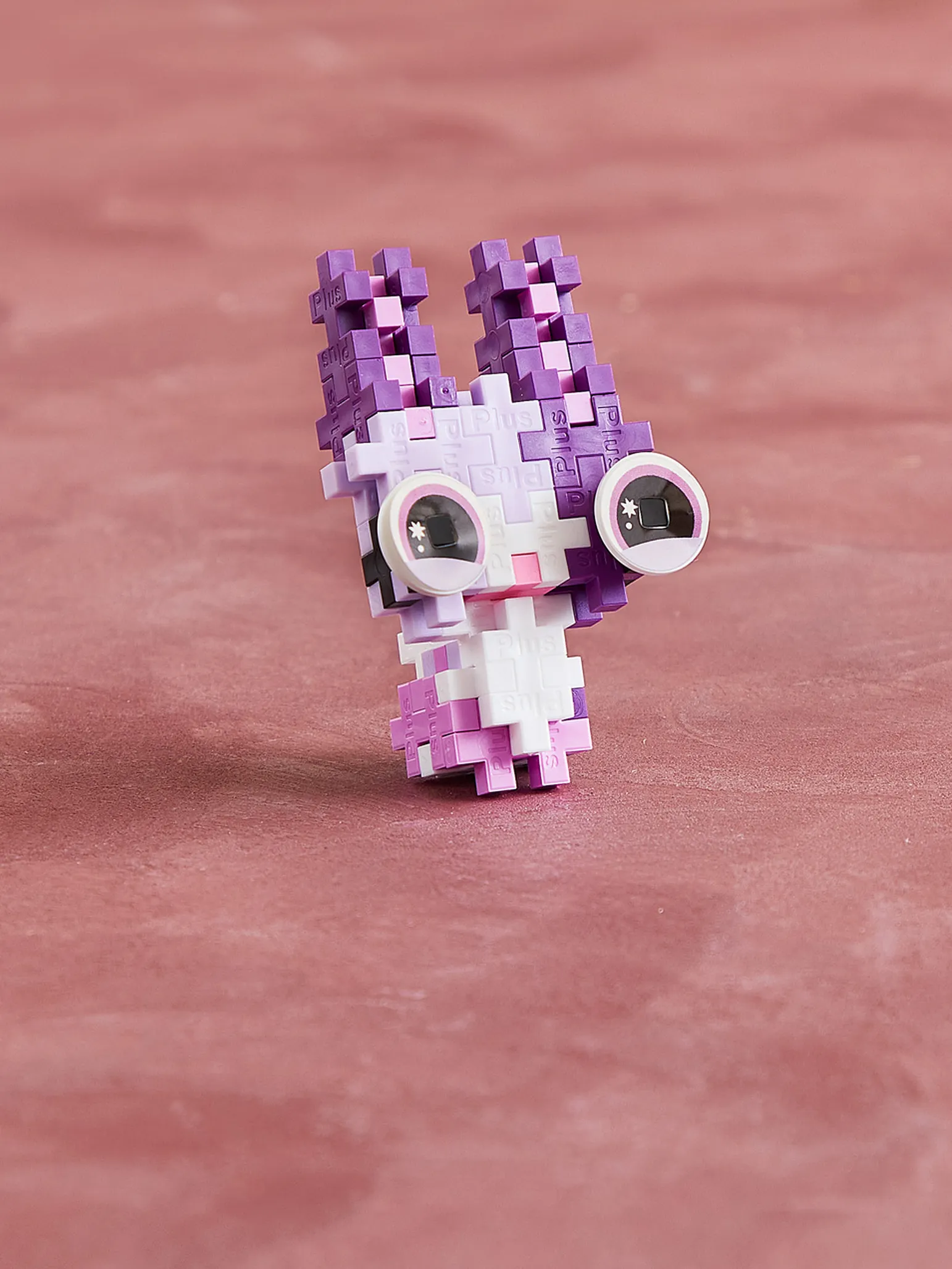 Pet Packet - Bunny - Image 4