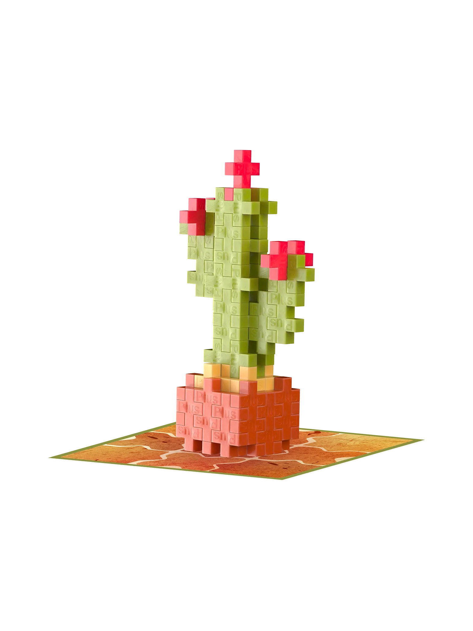 Cactus - Image 6